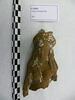 figurine d'Isis Aphrodite, image 1/2