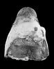 masque-plastron à dosseret, image 2/3