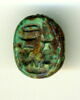 scarabée, image 1/2