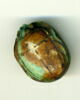 scarabée, image 2/2