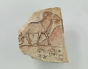 ostracon figuré, image 1/4