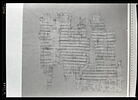 papyrus documentaire, image 1/3