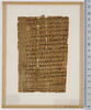 papyrus, image 1/2