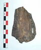 mule ; fragment, image 3/3