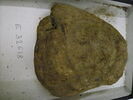bouchon d'amphore, image 2/3