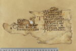 feuillet de codex ; fragment, image 1/5