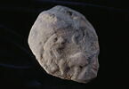 bouchon d'amphore, image 2/2