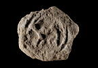 bouchon d'amphore, image 1/3
