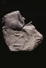 bouchon d'amphore, image 1/2