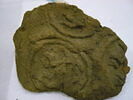 bouchon d'amphore, image 2/3
