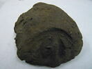 bouchon d'amphore, image 2/3