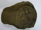 bouchon d'amphore, image 2/3