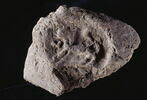 bouchon d'amphore, image 3/3