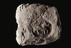 bouchon d'amphore, image 3/3