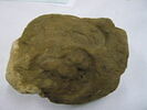 bouchon d'amphore, image 2/3