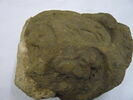 bouchon d'amphore, image 2/3