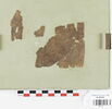 manche d'habit  ; fragments, image 2/8