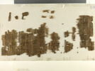 papyrus, image 1/2