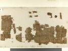 papyrus, image 2/2