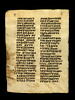 codex ; fragmentaire, image 8/47