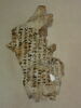 feuillet de codex ; deux fragments recollés, image 2/3