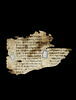 feuillet de codex ; fragment, image 1/4