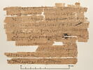 papyrus documentaire, image 1/4