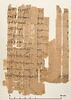 papyrus documentaire, image 2/4