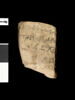 ostracon, image 1/2