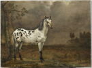 Le Cheval pie, image 1/5