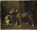 Bouledogue et terrier écossais, image 1/3