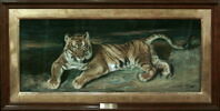 Tigre couché, image 3/3