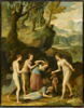 Vénus pleurant la mort d'Adonis, image 1/2