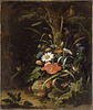 Fleurs, oiseaux, insectes et serpents, souris, lézard et grenouille, image 3/4