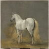 Cheval blanc, image 1/5