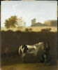 Pâtres et cheval pie dans un paysage d'Italie, image 1/3
