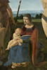 La Vierge à l'Enfant et les saints Jean Baptiste et Sébastien entre deux donateurs (Giacomo di Marchione de Pandolfi da Casio et son fils Girolamo, poète), image 3/18