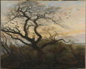 L'Arbre aux corbeaux, image 2/3