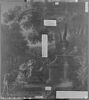 Narcisse, image 2/2