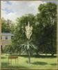 Le Yucca gloriosa, fleuri en 1844 dans le parc de Neuilly, image 2/2