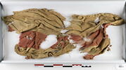 tissu ; fragments, image 1/2