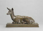 Biche couchée, image 2/4