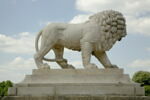 Lion, image 4/10