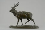 Cerf du Gange, image 1/7