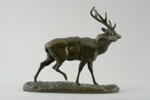 Cerf du Gange, image 3/7