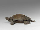 Tortue, image 1/4