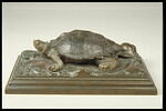 Tortue sur plinthe, image 1/4