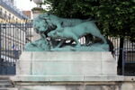 Lion et lionne se disputant un sanglier, image 3/9