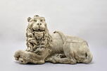 Lion, image 1/5