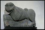 Lion, image 1/2